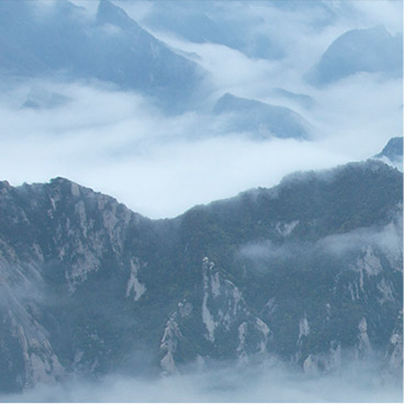 电报群卡密的呼死你轰炸短信平台